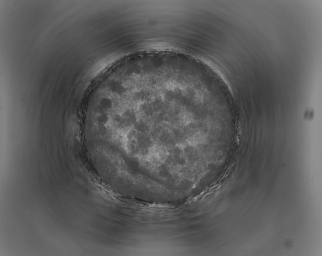 X0000094430823200712061112