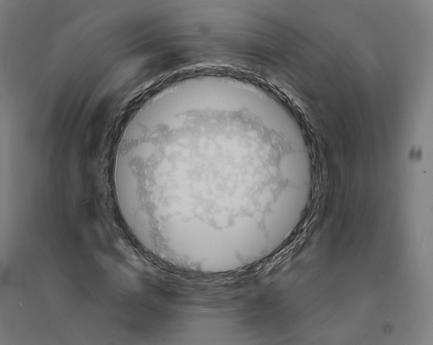 X0000094430824200712061112