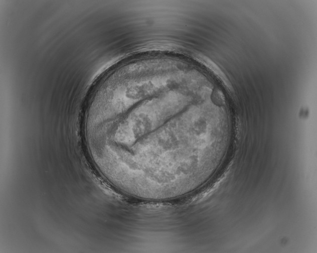 X0000094430826200712061112