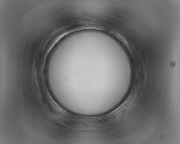 X0000094430828200712061112