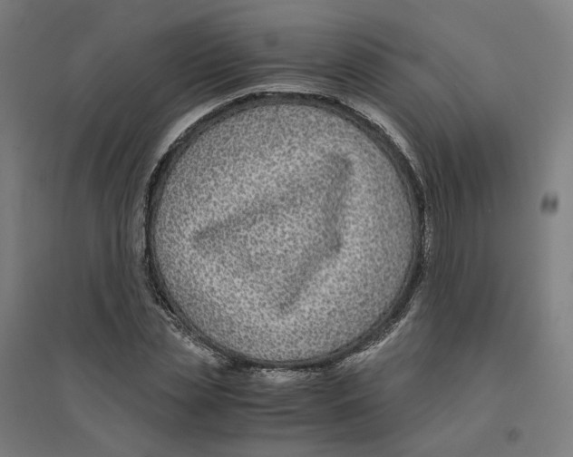 X0000094430829200712061112