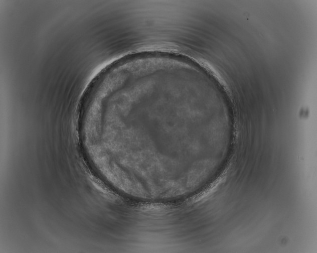 X0000094430830200712061112