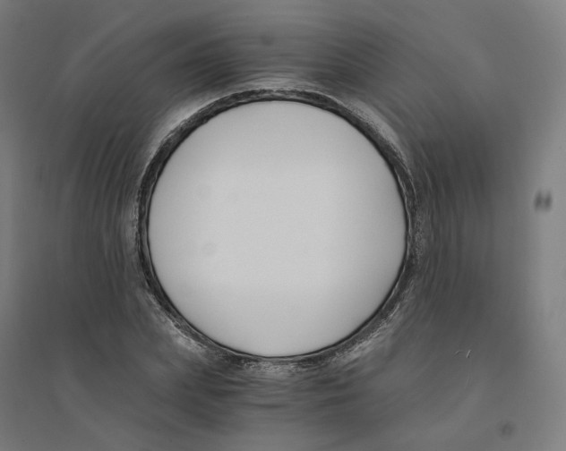 X0000094430831200712061112