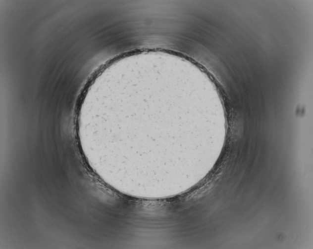 X0000094430832200712061112