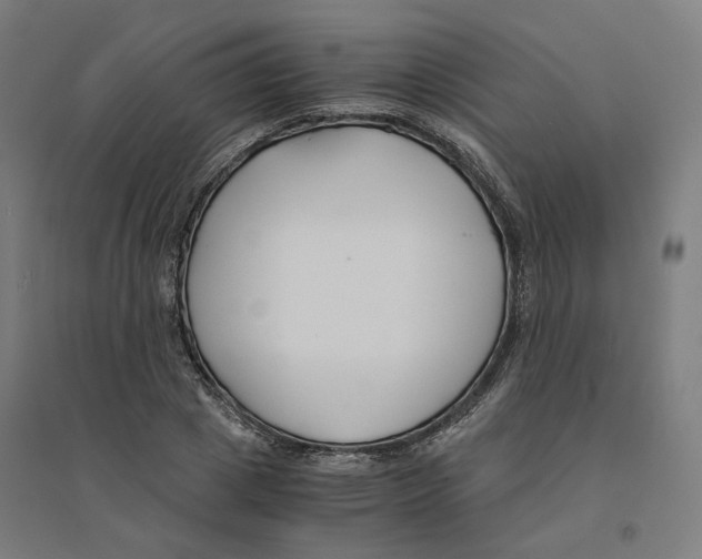 X0000094430833200712061112