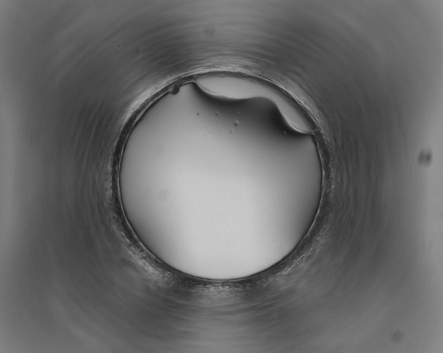 X0000094430834200712061112