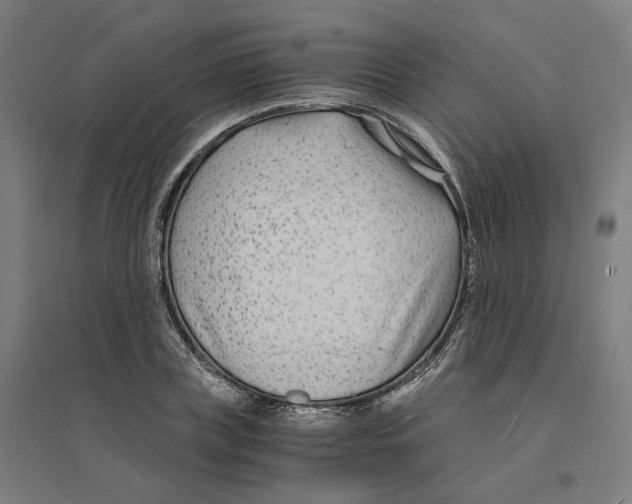 X0000094430835200712061112