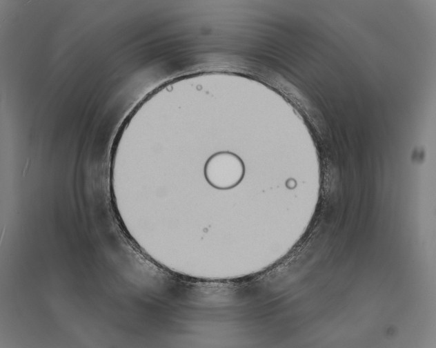 X0000094430836200712061112