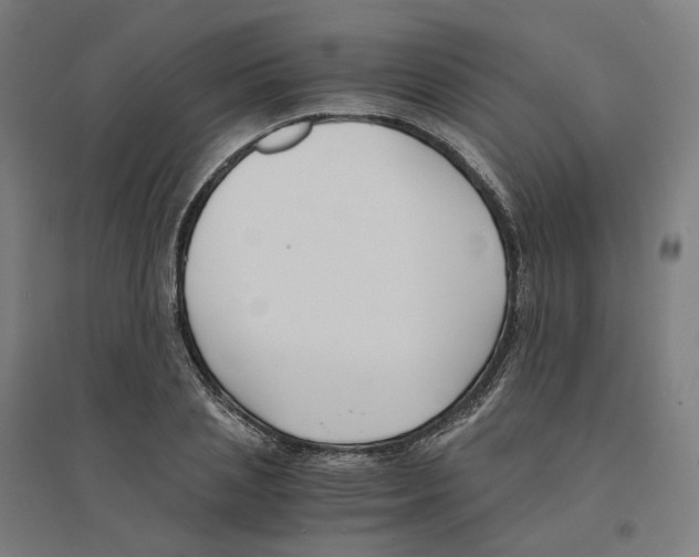 X0000094430837200712061112