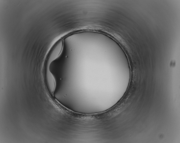 X0000094430838200712061112