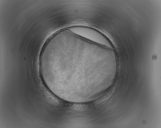 X0000094430840200712061112