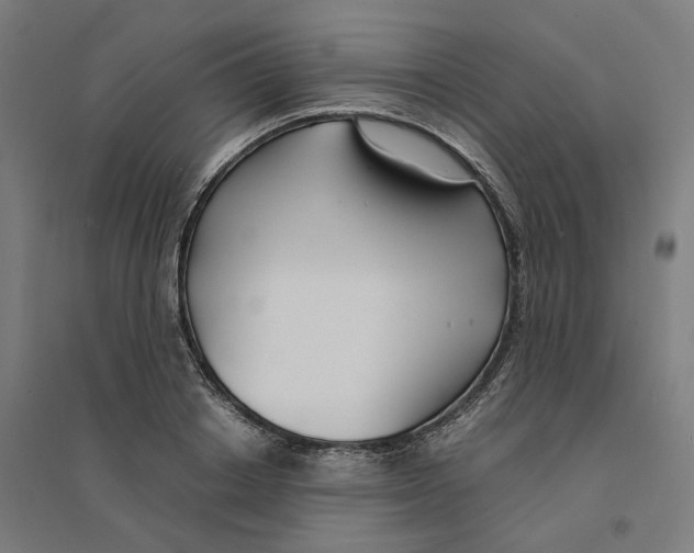 X0000094430842200712061112