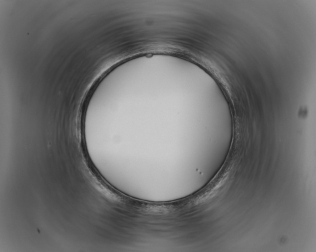 X0000094430843200712061112