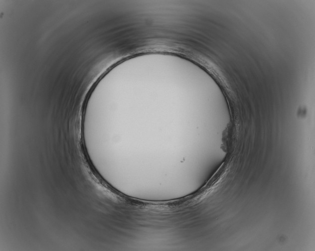 X0000094430844200712061112