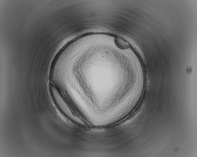 X0000094430845200712061112