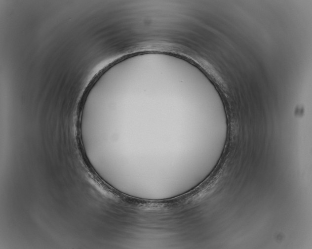 X0000094430846200712061112