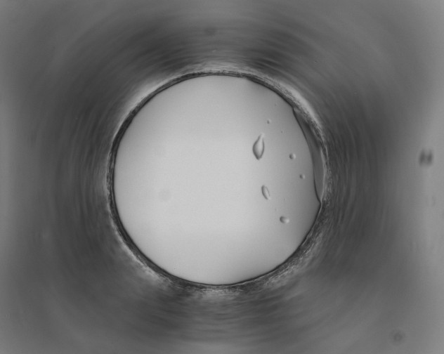 X0000094430847200712061112