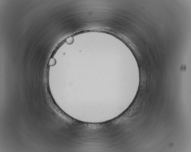 X0000094430848200712061112