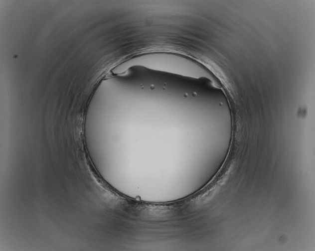 X0000094430849200712061112