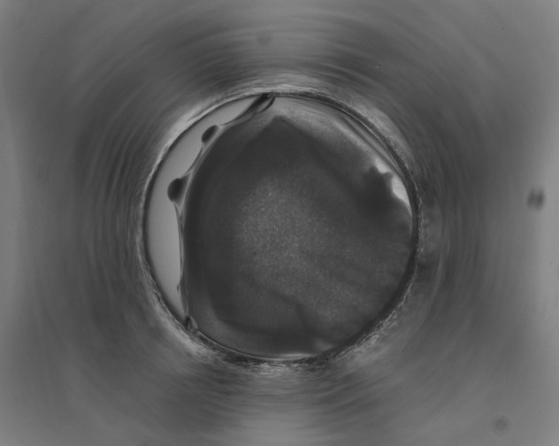 X0000094430850200712061112