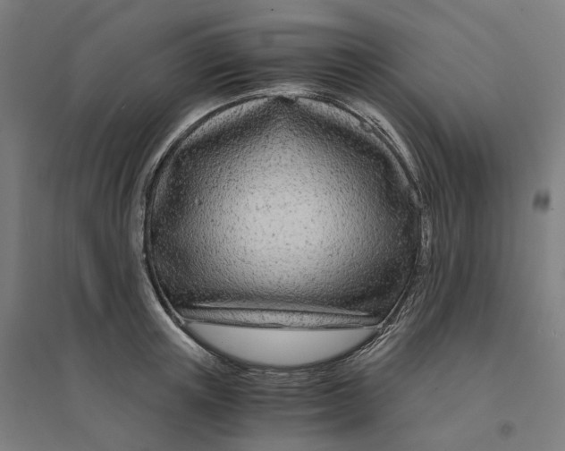 X0000094430851200712061112