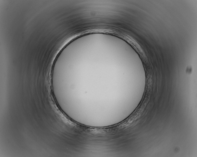 X0000094430852200712061112