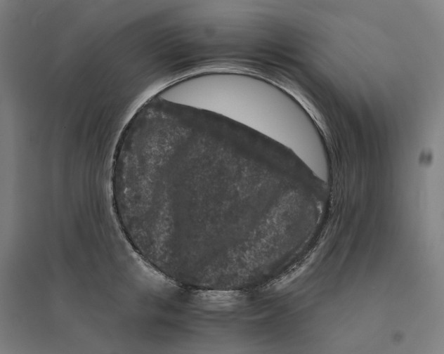 X0000094430853200712061112