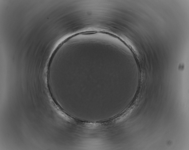 X0000094430854200712061112