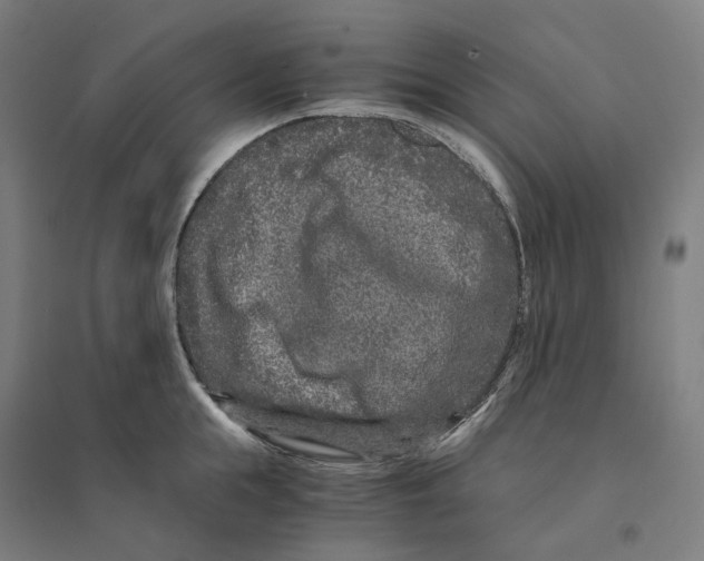 X0000094430855200712061112