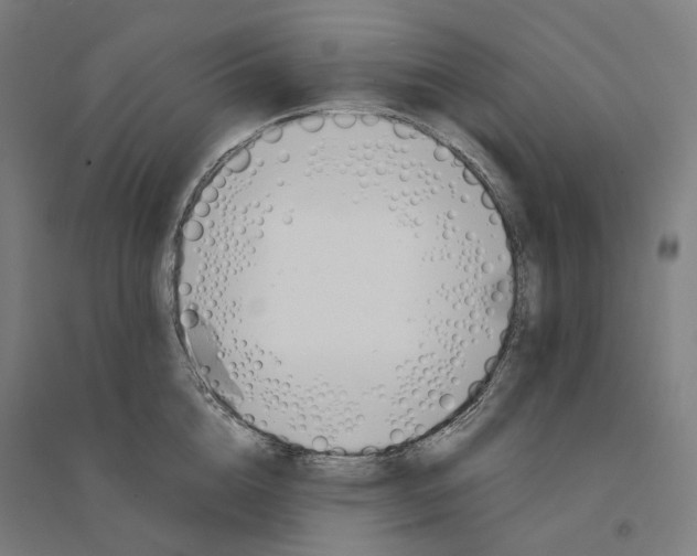 X0000094430856200712061112