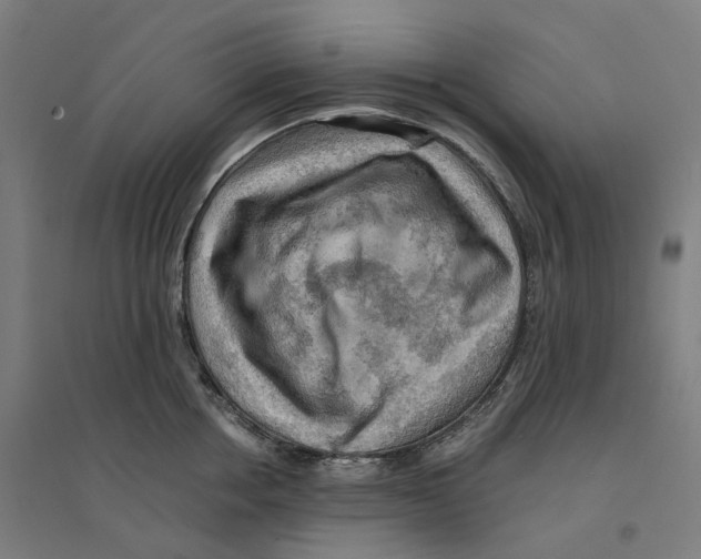 X0000094430858200712061112