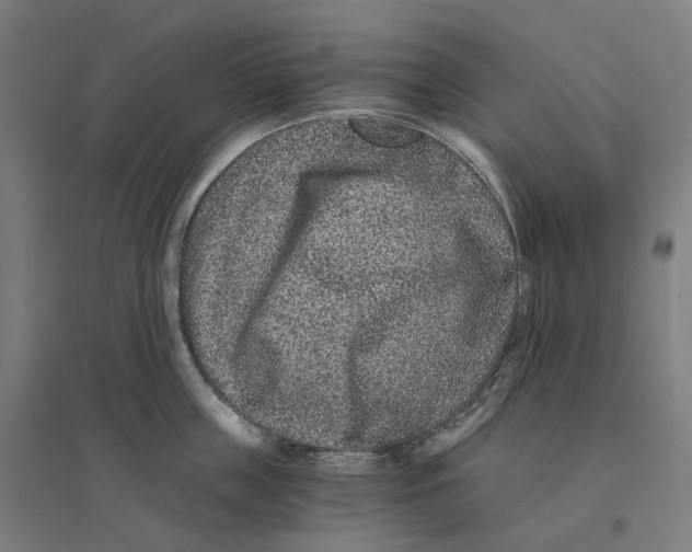 X0000094430859200712061112