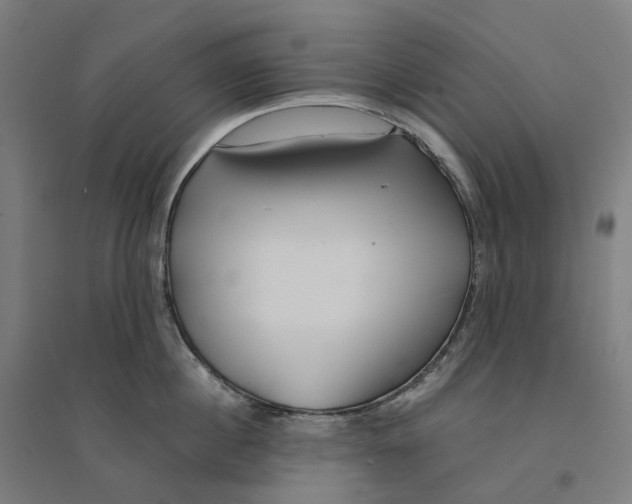 X0000094430860200712061112