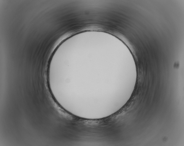 X0000094430861200712061112