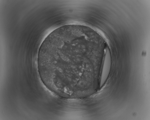 X0000094430863200712061112