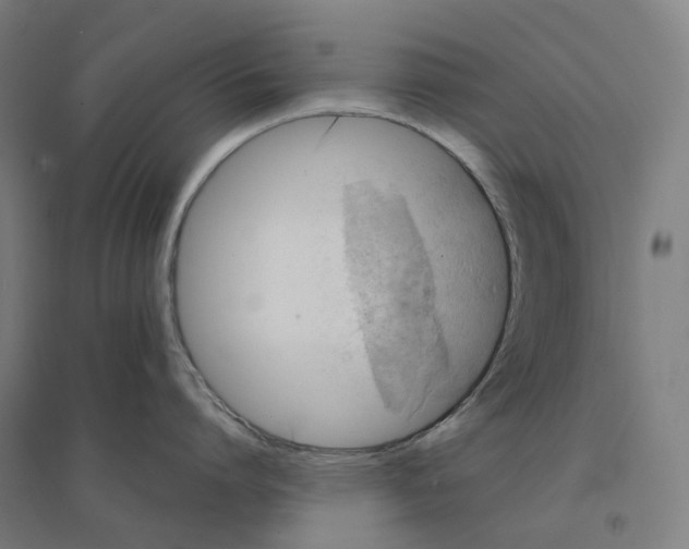 X0000094430864200712061112