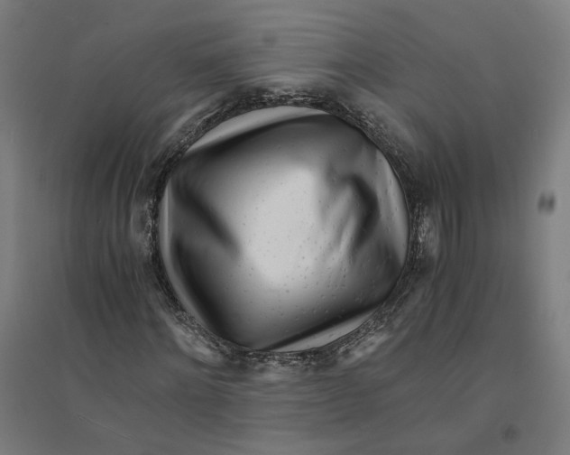 X0000094430868200712061112