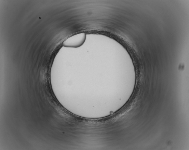 X0000094430873200712061111