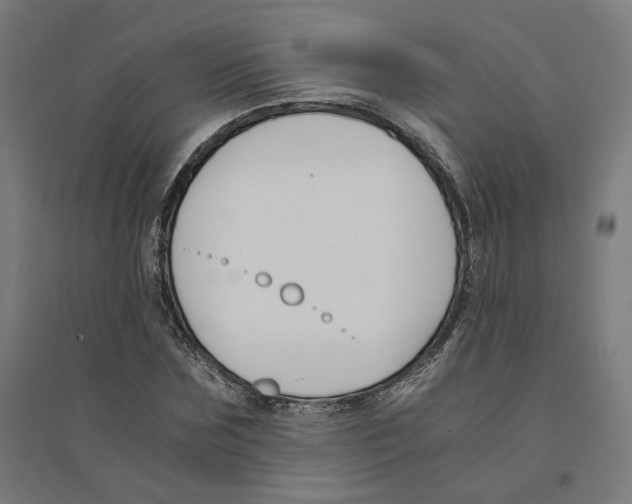 X0000094430875200712061111