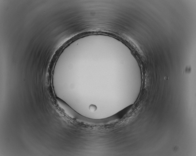 X0000094430876200712061111