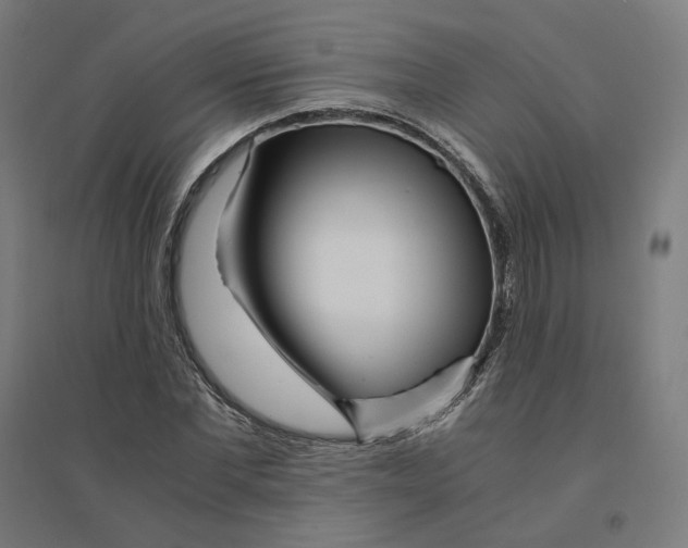 X0000094430877200712061111