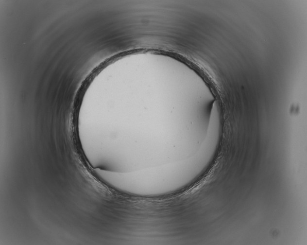 X0000094430880200712061111