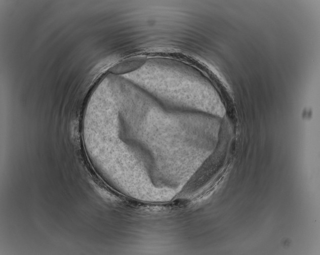 X0000094430881200712061111