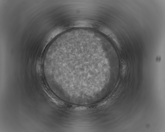 X0000094430882200712061111