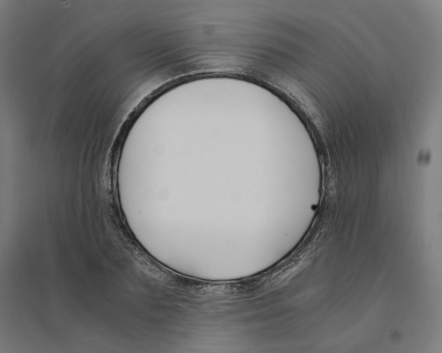 X0000094430883200712061111