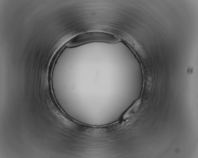 X0000094430884200712061111