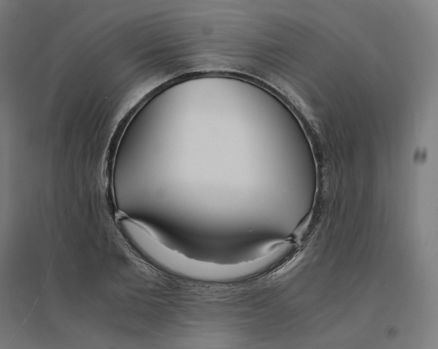 X0000094430885200712061111