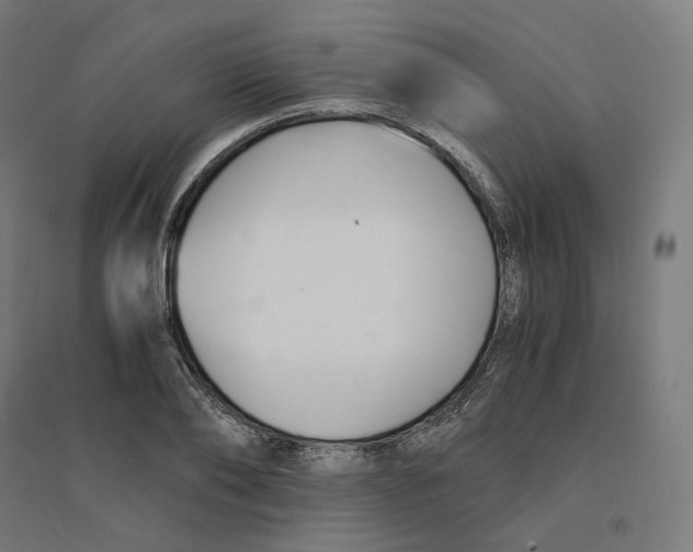 X0000094430886200712061111