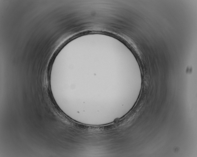 X0000094430887200712061111