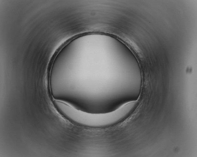 X0000094430888200712061111